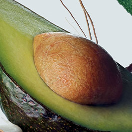 avocado-olie