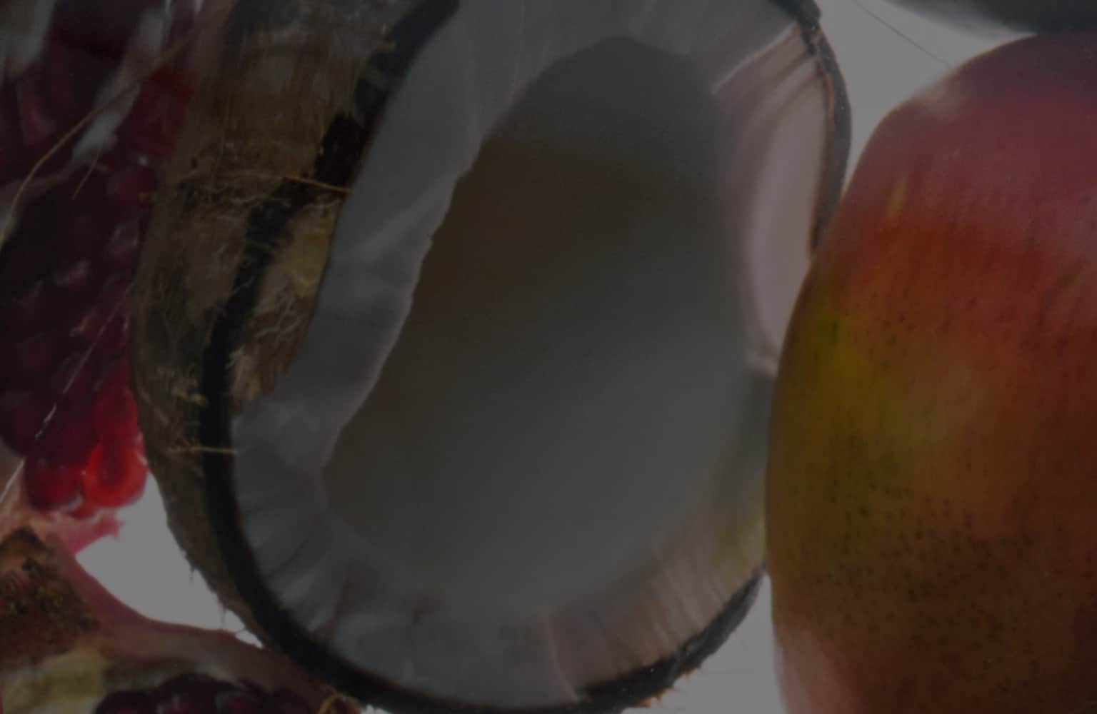 Consulter le glossaire des ingrédients