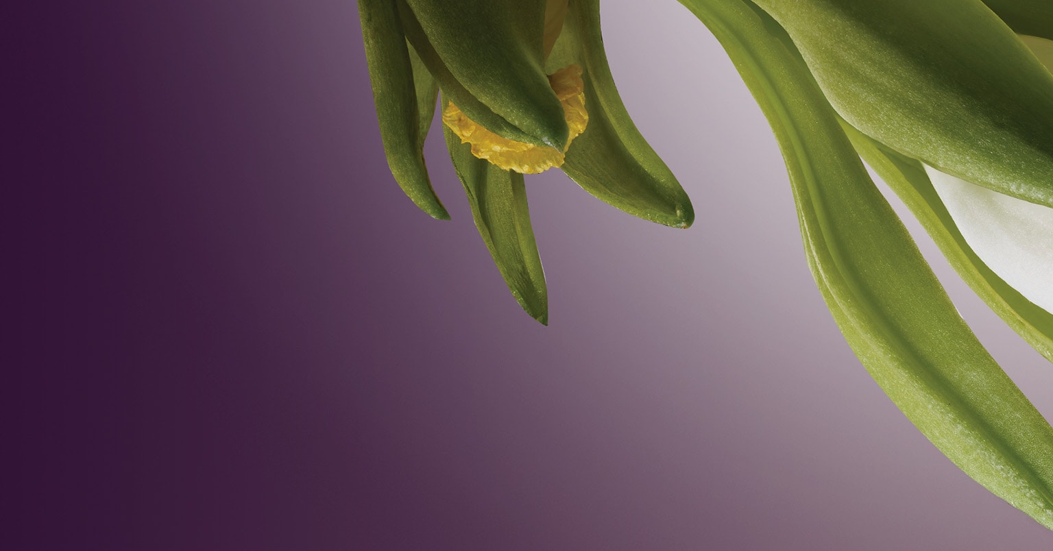 Verbeterde aroma-ervaring