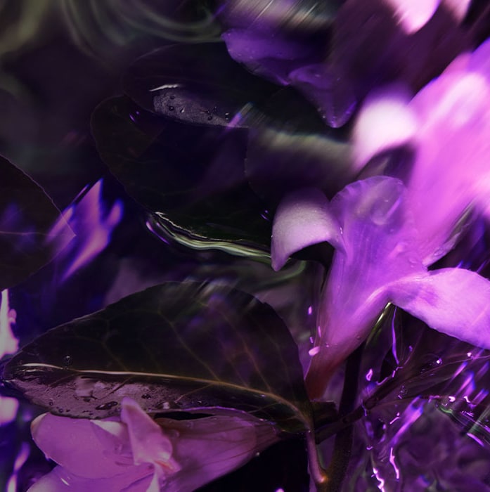 Probeer een nieuwe haarkleuring