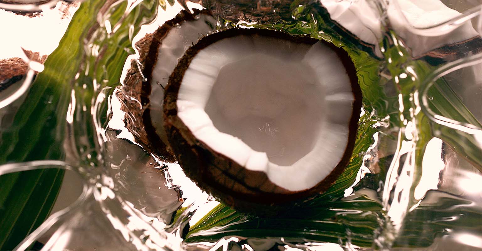 Aveda est 100 % vegan. Maintenant et pour toujours. 