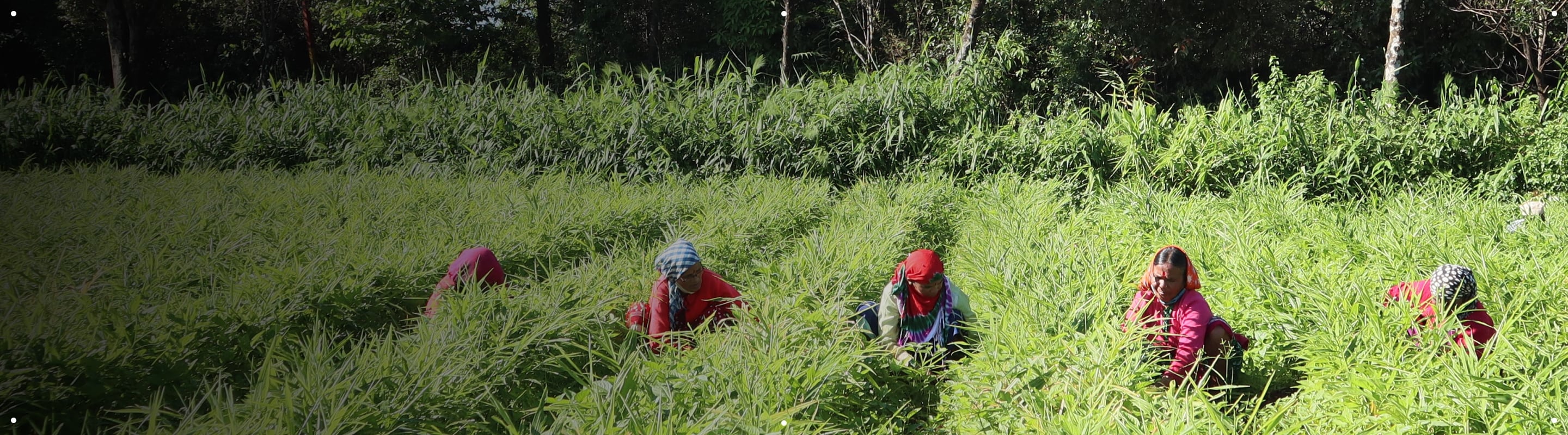 Consigue el set de otoño imprescindible para hidratar tu cabello