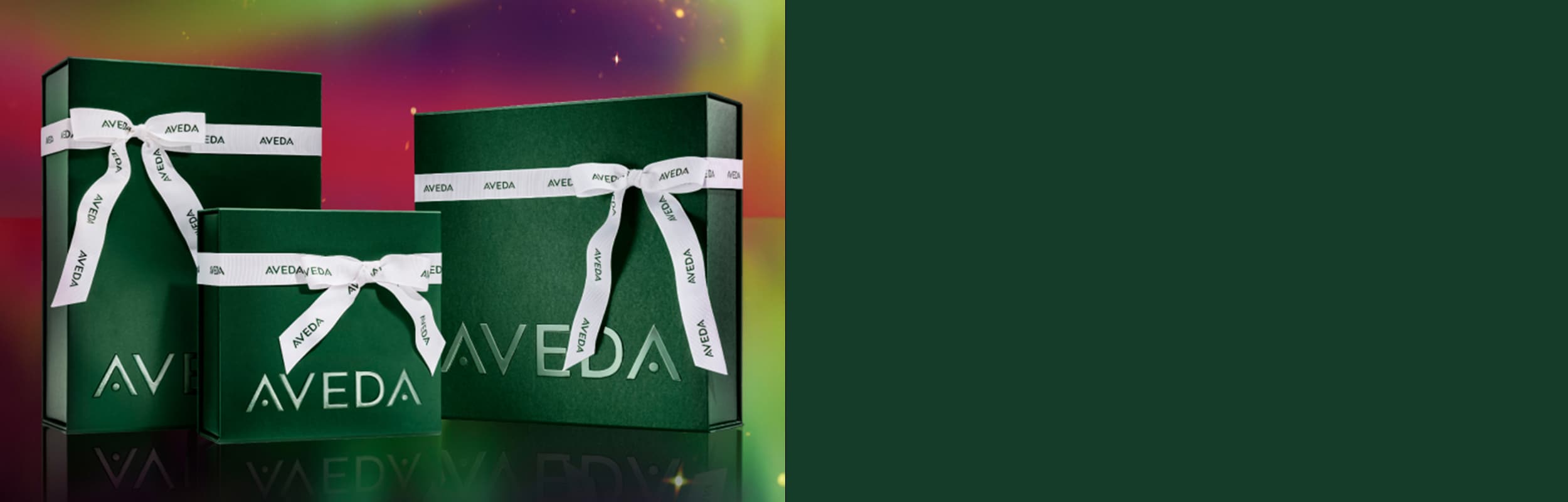 Entdecke scalp solutions von Aveda