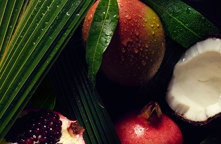 View Aveda's ingredient glossary